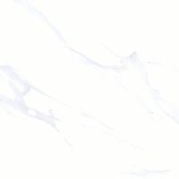 r6602-2020