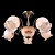 свет