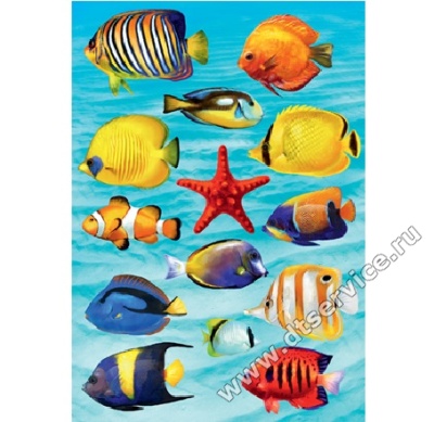 ea15a962ad87bd15bd16aeafe5b5a70a