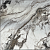 image001