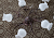 image003